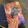 호랑이를 덫에 가두면, 초등독서 호랑이 이야기 추천 책