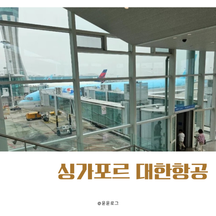 [싱가포르 대한항공] 아이와 싱가폴 대한항공 KE643 KE644 기내식 및 좌석배열 아동식신청 : 네이버 블로그