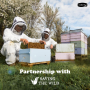 꿀벌과 야생동물, 사람의 조화 : ‘키마나 양봉 프로젝트’