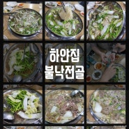 하얀집 불낙전골 먹어보니 여수 낙지볶음 맛날듯