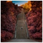 가을계단 [Autumn Stairs] ⓒ 남인근