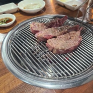 [현동 맛집] 초램 양고기 마산점