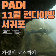 PADI 11월 제주도 가성비 스쿠버다이빙을 위한 계획 - 랄라다이브