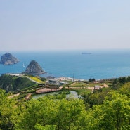 부산 시티투어 여행 코스 요금 그린라인 흰여울마을 부산항대교 오륙도스카이워크