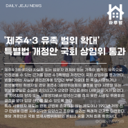 하루방앱 - 11월 24일 제주뉴스