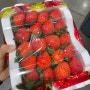 코스트코 딸기 가격