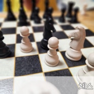 머리 좋아지는 체스 두는 방법, 루덴스 WPC 체스, 애들랜스 휴대용 체스 그리고 어스본코리아 체스왕
