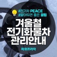 [꿀팁공개] 겨울철 한파대비, 더블캡 전기차 PEACE 관리하기!