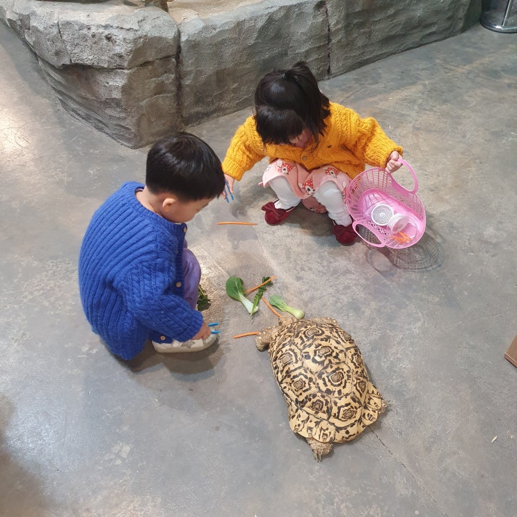 청주 쥬니멀 동물원 : 아이와 동물체험하기 좋은곳