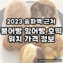 헬리오도 붕세권? 송파역 붕어빵 지도 호떡 잉어빵 계란빵 위치 가격 정보 정리 (23.11.26 up!)