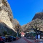 진안군 마이산 도립공원 산책, 벚꽃마을 더덕구이 정식