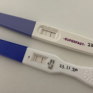 대전 산부인과 선택 임신 피검사 수치