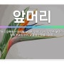 시와 함께 한 해를 마무리하며 _ 21일차 (feat. 글의 도입에 신경 써서 글쓰기)