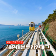 부산 해운대 블루라인파크 해변열차 & 스카이캡슐