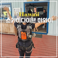 하와이 스카이다이빙 솔직 후기 14,000피트 가격 예약 방법