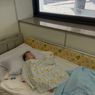 신촌 세브란스 7개월 아기 잠복고환 수술 후기 (23년 11월)