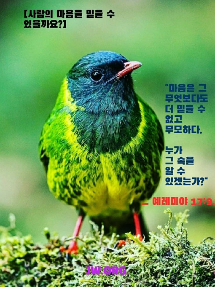 존중의 미덕 : 네이버 블로그