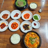 영월 맛집 다슬기향촌 성호식당