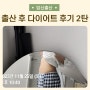 출산 후 배크기 몸무게 다이어트 후기 2탄