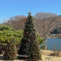 남양주 카페 북한강 브리끄, 크리스마스 분위기 대형트리가 있는 곳