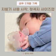 생후 2개월 | 80일 아기 주먹고기 손빨기 시작, 메디토이 치발기, 젖꼭지 사이즈 업 (헤겐, 베베그로우)