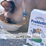 마이펫푸 냥쾌 : 무향무취라 고양이들이 거부감없이 먹을수있는 고양이유산균으로 울 냥이 건강관리해요
