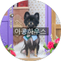 인천강아지미용 인증받은 강아지 미용샵 아콩하우스로 가보쟈!!!
