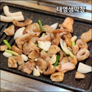 대전 월평동 '태영생막창', 최애 돼지 막창 구이 맛집