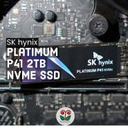 [올페의 리뷰] SK 하이닉스 P41 NVME SSD 2TB