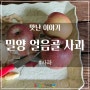 밀양 얼음골 사과 이야기. with 올해 사과값이 비싼 이유!!(비싸서 더 맛있나??)