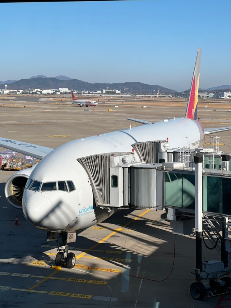 [비행기] 아시아나 Oz561, 인천 > 로마 비행 후기 (이코노미, 기내식, 기내, 출국절차, 로마 공항 입국 절차 …” style=”width:100%” title=”[비행기] 아시아나 OZ561, 인천 > 로마 비행 후기 (이코노미, 기내식, 기내, 출국절차, 로마 공항 입국 절차 …” loading=”lazy”><figcaption>[비행기] 아시아나 Oz561, 인천 > 로마 비행 후기 (이코노미, 기내식, 기내, 출국절차, 로마 공항 입국 절차 …</figcaption></figure>
<figure><img decoding=