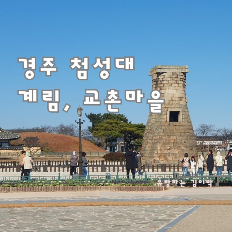 경주 가볼만한곳 첨성대 주차장 입장료 계림 교촌마을