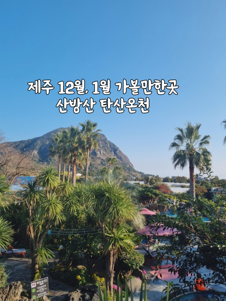 1월 겨울 제주 아이와 가볼만한곳 | 제주도 산방산  탄산온천