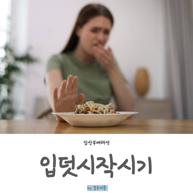 임신초기 입덧 시작시기 끝나는시기 증상 입덧완화음식 추천 : 네이버 블로그