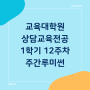 상담심리교육대학원 [19] 1학기 수업 12주 차 '주간루미썬'