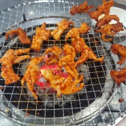 순천맛집 취향닭발 내돈내산 솔직후기