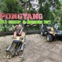 [반쪽세계일주 D+63] 치앙마이 멀고 먼 '먼쨈' 오토바이로 가기, 퐁양 정글 코스터에서 신나게 놀이 기구 pong yaeng jungle coaster