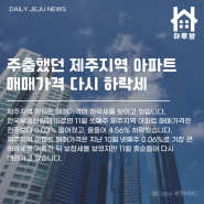 하루방앱 - 11월 27일 제주뉴스