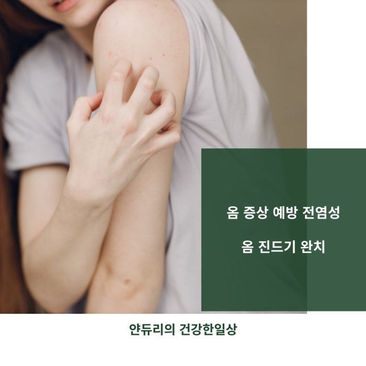옴 증상 예방 전염성은 얼마나? 옴 진드기 완치 : 네이버 블로그