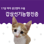 고양이 갑상선기능항진증 진단 치료