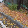 속초, 거리, 가을, 리코GR
