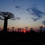 마다가스카르 여행 경비 비행시간 비행기 모론다바 바오밥나무 바다