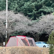 수도권에서 캠크닉, 차크닉, 캠핑 모두 가능한 곳 - 동탄 청려수련원 캠핑장 (소운동장 단독사이트)