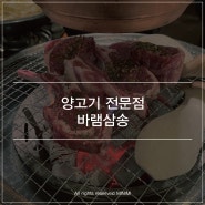 삼송역 양고기 전문점 바램삼송 양갈비 프렌치렉 숄더렉