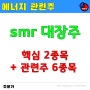 [에너지] smr 관련주의 소형원전 핵심종목 정리