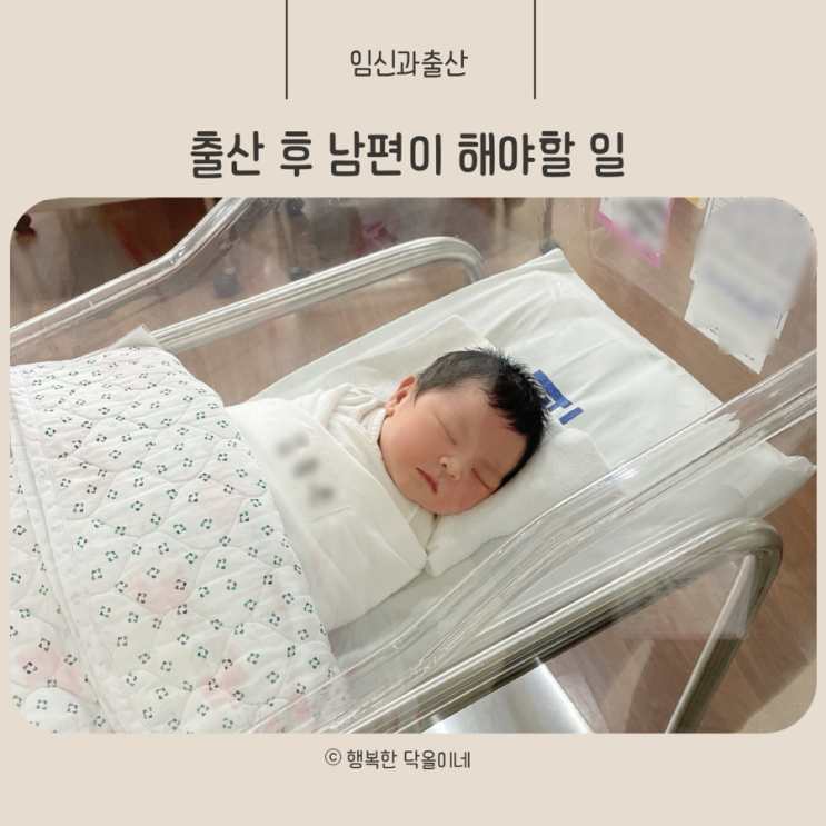 출산 후 남편이 해야할 일 10가지 총정리 출산당일 출산 후 4주이내 : 네이버 블로그