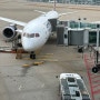 에어프레미아 비행기 일반석 타고 방콕 다녀온 후기 (기내식, 좌석, 노랑풍선)
