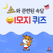 소와 관련된 속담 '이모지퀴즈 3탄', 정답 맞혀보시겠소~?