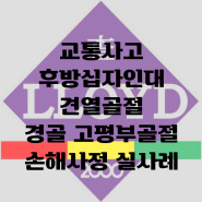 교통사고 후방십자인대 견열골절 경골고평부 후유장해 손해사정 실사례