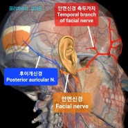 두통(Headache) 원인 및 없애는법